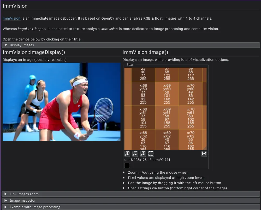 ImmVision: interactive image display with zoom, pan, and pixel inspection.