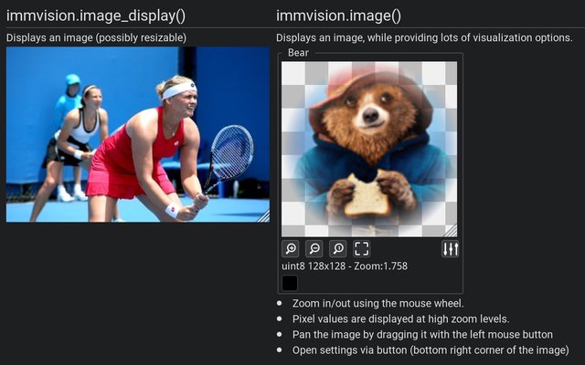 ImmVision: display and inspect