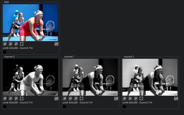 ImmVision: images that zoom together