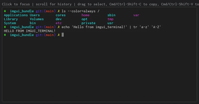 A zsh shell running inside an ImGui child window.